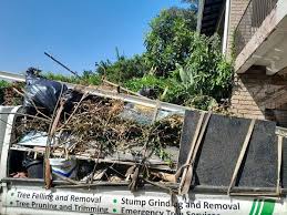 Best Estate Cleanout  in Panthersville, GA