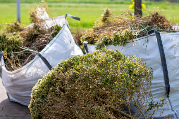 Same-Day Junk Removal Services in Panthersville, GA